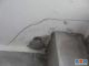 北京朝阳区团结湖管道疏通维修服务 守护城市地下血脉